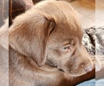 Small #4 Breeder Profile image