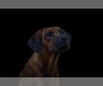 Small #15 Breeder Profile image