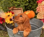 Small #2 Breeder Profile image
