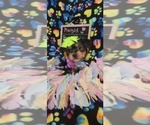 Small #229 Breeder Profile image