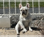 Small #2 Breeder Profile image