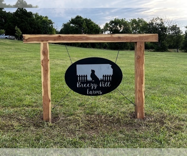 Medium Photo #1  Breeder Profile in FALL RIVER, KS, USA