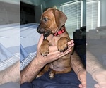 Small #59 Breeder Profile image