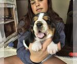 Small #6 Breeder Profile image