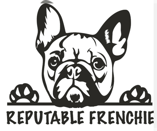 Medium Photo #1  Breeder Profile in HAZLET, NJ, USA