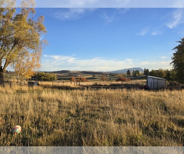Medium Photo #5  Breeder Profile in ELGIN, OR, USA