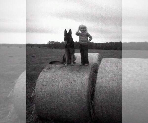 Medium Photo #1  Breeder Profile in NEW BOSTON, TX, USA