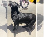 Small #2 Breeder Profile image