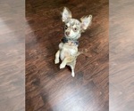 Small #24 Breeder Profile image