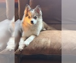 Small #16 Breeder Profile image