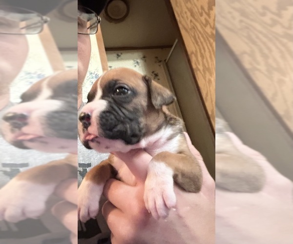 Medium Photo #1  Breeder Profile in BEMIDJI, MN, USA