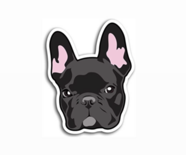 Medium Photo #1  Breeder Profile in SACRAMENTO, CA, USA
