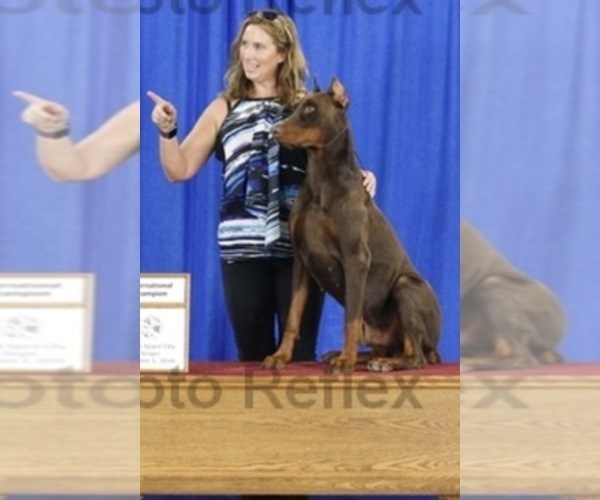 Medium Photo #1  Breeder Profile in CALDWELL, TX, USA