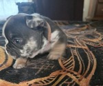 Small #7 Breeder Profile image