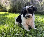 Small #5 Breeder Profile image