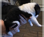 Small #10 Breeder Profile image