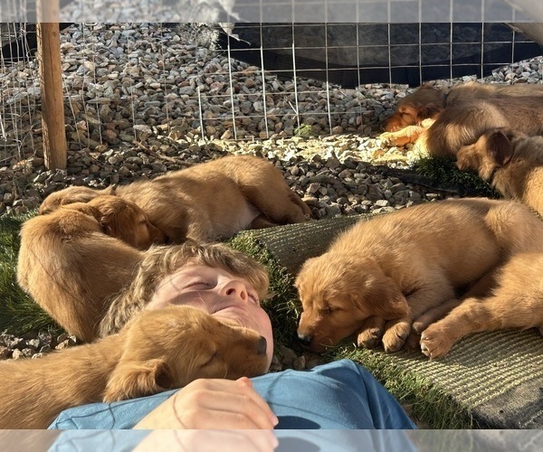 Medium Photo #26  Breeder Profile in CHINO VALLEY, AZ, USA