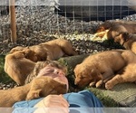 Small #25 Breeder Profile image