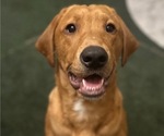 Small #2 Breeder Profile image