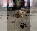 Small #22 Breeder Profile image