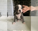 Small #37 Breeder Profile image