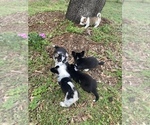 Small #15 Breeder Profile image