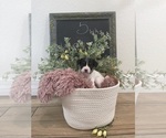 Small #9 Breeder Profile image