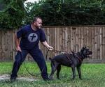 Small #18 Breeder Profile image