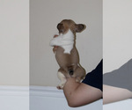 Small #8 Breeder Profile image