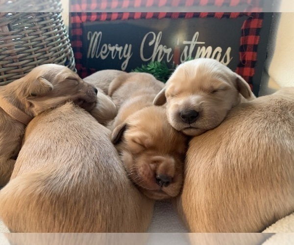 Medium Photo #3  Breeder Profile in LE ROY, MN, USA