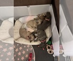 Small #2 Breeder Profile image