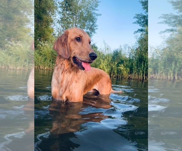 Medium Photo #1  Breeder Profile in MARIETTA, MN, USA