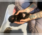 Small #7 Breeder Profile image