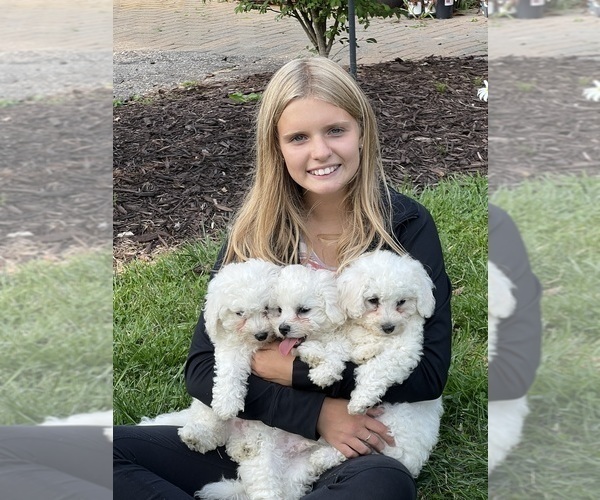 Medium Photo #1  Breeder Profile in PICKFORD, MI, USA