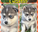 Small #3 Breeder Profile image