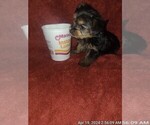 Small #174 Breeder Profile image