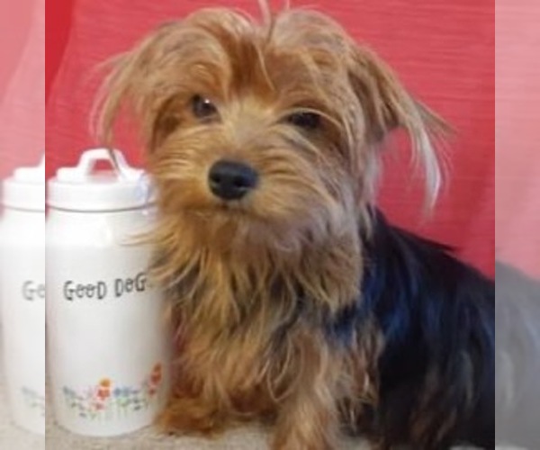 Medium Photo #1  Breeder Profile in MARION, IN, USA