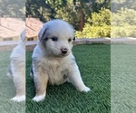 Small #8 Breeder Profile image
