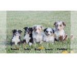 Small #12 Breeder Profile image