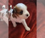Small #112 Breeder Profile image