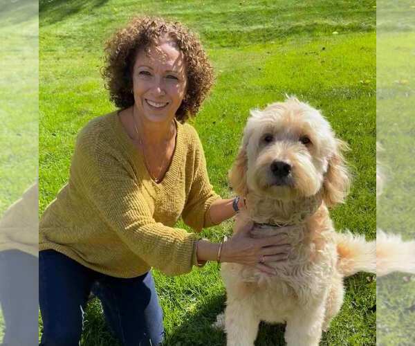 Medium Photo #6  Breeder Profile in NEWARK, OH, USA