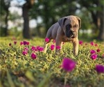 Small #20 Breeder Profile image