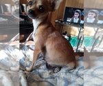 Small #7 Breeder Profile image