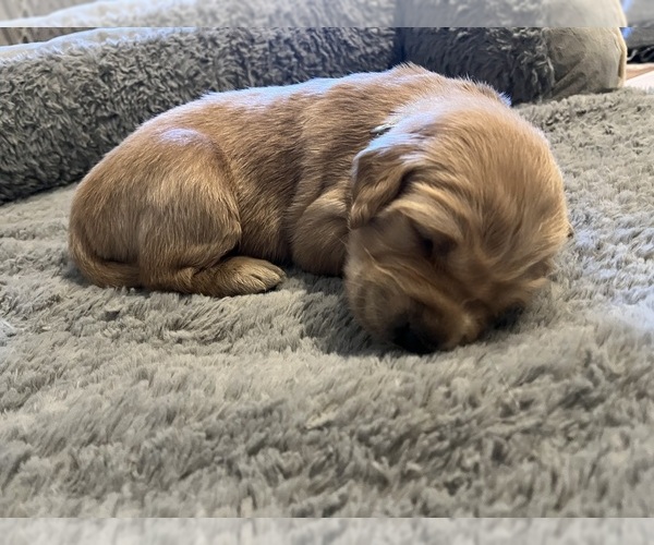 Medium Photo #24  Breeder Profile in SWEETWATER, TN, USA