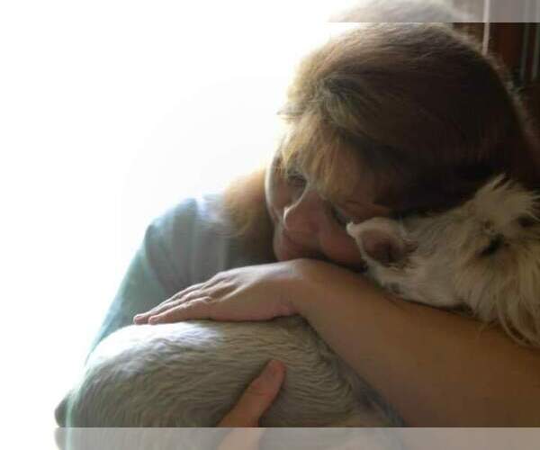 Medium Photo #4  Breeder Profile in ENID, OK, USA