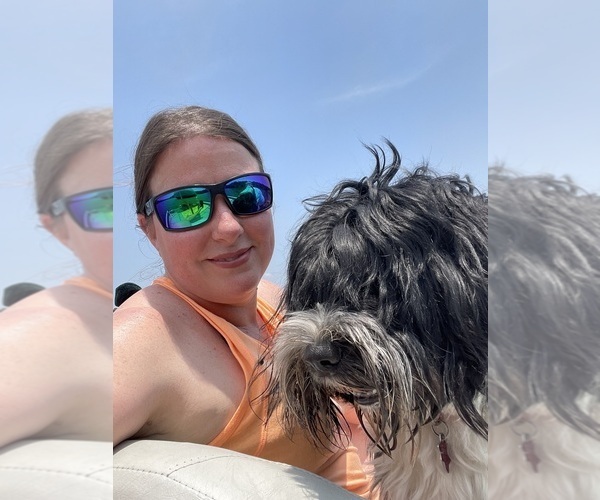 Medium Photo #3  Breeder Profile in BAYTOWN, TX, USA