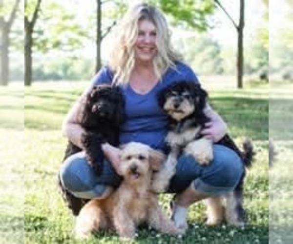 Medium Photo #1  Breeder Profile in COLVILLE, WA, USA