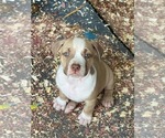 Small #1 Breeder Profile image
