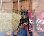 Small #5 Breeder Profile image