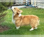Small #2 Breeder Profile image